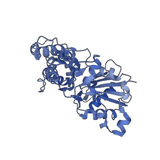 3805_5ogw_C_v1-4
Cryo-EM structure of jasplakinolide-stabilized malaria parasite F-actin at near-atomic resolution