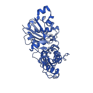 3805_5ogw_D_v1-4
Cryo-EM structure of jasplakinolide-stabilized malaria parasite F-actin at near-atomic resolution