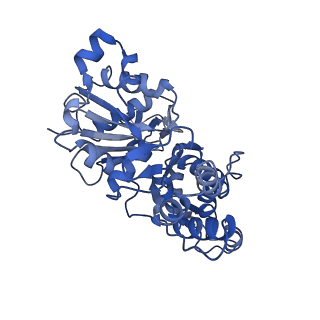 3805_5ogw_E_v1-4
Cryo-EM structure of jasplakinolide-stabilized malaria parasite F-actin at near-atomic resolution
