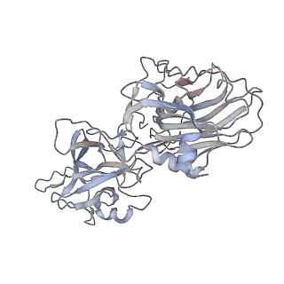12890_7oh0_A_v1-2
Tetanus neurotoxin HC domain in complex with TT104-Fab1