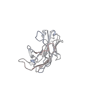 12890_7oh0_B_v1-2
Tetanus neurotoxin HC domain in complex with TT104-Fab1