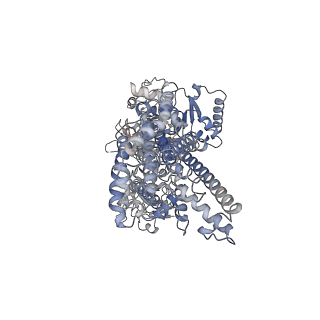 12893_7oh4_A_v1-0
Cryo-EM structure of Drs2p-Cdc50p in the E1 state with PI4P and Mg2+ bound