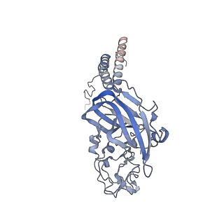 12893_7oh4_C_v1-0
Cryo-EM structure of Drs2p-Cdc50p in the E1 state with PI4P and Mg2+ bound