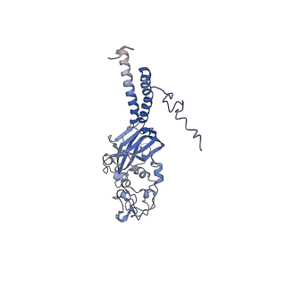 12894_7oh5_C_v1-0
Cryo-EM structure of Drs2p-Cdc50p in the E1-AlFx-ADP state