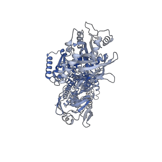 12895_7oh6_A_v1-0
Cryo-EM structure of Drs2p-Cdc50p in the [PS]E2-AlFx state