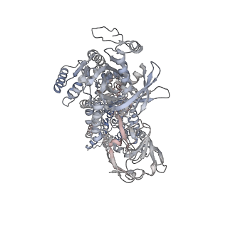 12896_7oh7_A_v1-0
Cryo-EM structure of Drs2p-Cdc50p in the E1-AMPPCP state with PI4P bound
