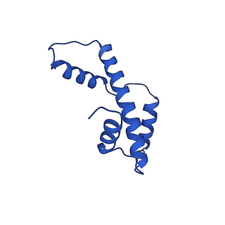 12897_7oh9_E_v1-1
Nucleosome with TBP and TFIIA bound at SHL -6