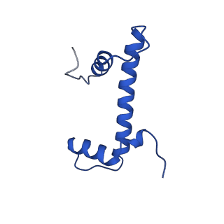 12898_7oha_B_v1-1
nucleosome with TBP and TFIIA bound at SHL +2