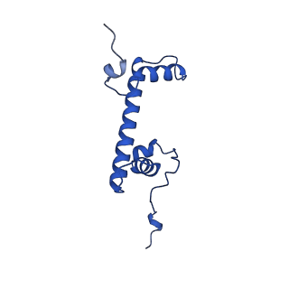 12898_7oha_G_v1-1
nucleosome with TBP and TFIIA bound at SHL +2