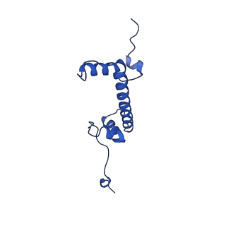 12899_7ohb_C_v1-1
TBP-nucleosome complex