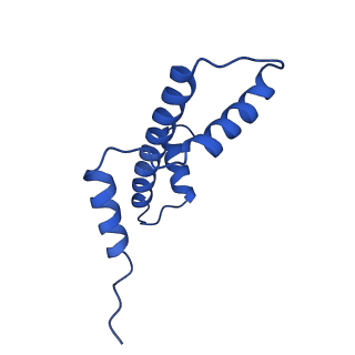 12900_7ohc_A_v1-1
Cryo-EM structure of nucleosome core particle composed of the Widom 601 DNA sequence