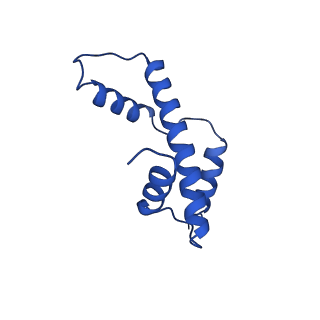 12900_7ohc_E_v1-1
Cryo-EM structure of nucleosome core particle composed of the Widom 601 DNA sequence