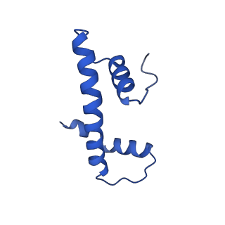 12900_7ohc_F_v1-1
Cryo-EM structure of nucleosome core particle composed of the Widom 601 DNA sequence
