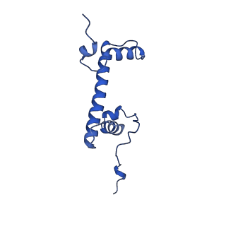 12900_7ohc_G_v1-1
Cryo-EM structure of nucleosome core particle composed of the Widom 601 DNA sequence