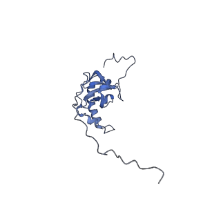 12905_7ohq_E_v1-0
Nog1-TAP associated immature ribosomal particle population C from S. cerevisiae
