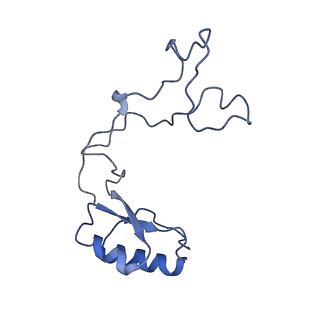 12905_7ohq_e_v1-0
Nog1-TAP associated immature ribosomal particle population C from S. cerevisiae
