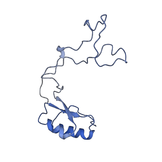 12905_7ohq_e_v2-1
Nog1-TAP associated immature ribosomal particle population C from S. cerevisiae