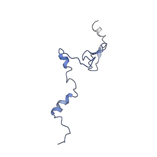 12905_7ohq_j_v1-0
Nog1-TAP associated immature ribosomal particle population C from S. cerevisiae