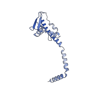 12905_7ohq_u_v2-1
Nog1-TAP associated immature ribosomal particle population C from S. cerevisiae