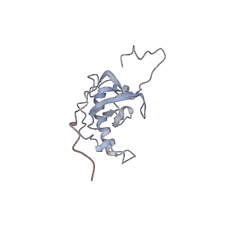 12906_7ohr_E_v1-1
Nog1-TAP associated immature ribosomal particle population E from S. cerevisiae