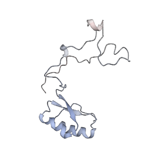 12906_7ohr_e_v1-1
Nog1-TAP associated immature ribosomal particle population E from S. cerevisiae