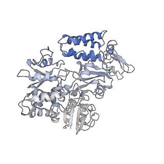 16878_8oh5_B_v1-1
Cryo-EM structure of the electron bifurcating transhydrogenase StnABC complex from Sporomusa Ovata (state 2)