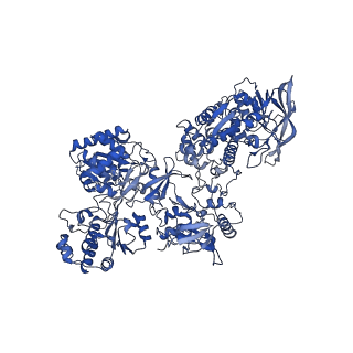 16878_8oh5_C_v1-1
Cryo-EM structure of the electron bifurcating transhydrogenase StnABC complex from Sporomusa Ovata (state 2)