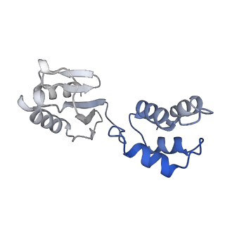 16878_8oh5_D_v1-1
Cryo-EM structure of the electron bifurcating transhydrogenase StnABC complex from Sporomusa Ovata (state 2)
