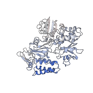 16878_8oh5_E_v1-1
Cryo-EM structure of the electron bifurcating transhydrogenase StnABC complex from Sporomusa Ovata (state 2)