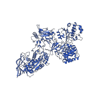 16878_8oh5_F_v1-1
Cryo-EM structure of the electron bifurcating transhydrogenase StnABC complex from Sporomusa Ovata (state 2)