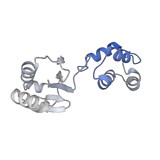 16878_8oh5_J_v1-1
Cryo-EM structure of the electron bifurcating transhydrogenase StnABC complex from Sporomusa Ovata (state 2)