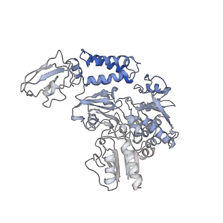 16878_8oh5_K_v1-1
Cryo-EM structure of the electron bifurcating transhydrogenase StnABC complex from Sporomusa Ovata (state 2)