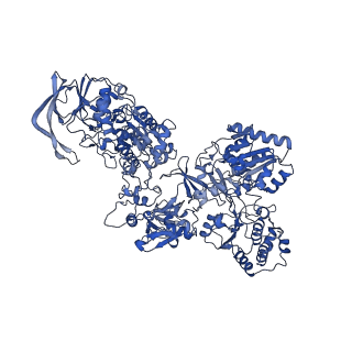16878_8oh5_L_v1-1
Cryo-EM structure of the electron bifurcating transhydrogenase StnABC complex from Sporomusa Ovata (state 2)