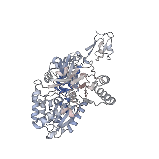 16879_8oh9_B_v1-1
Cryo-EM structure of the electron bifurcating transhydrogenase StnABC complex from Sporomusa Ovata (state 1)