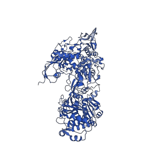 16879_8oh9_C_v1-1
Cryo-EM structure of the electron bifurcating transhydrogenase StnABC complex from Sporomusa Ovata (state 1)