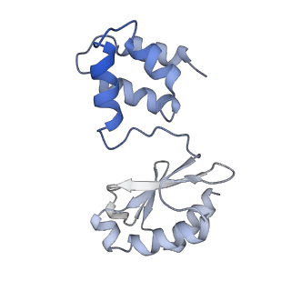 16879_8oh9_D_v1-1
Cryo-EM structure of the electron bifurcating transhydrogenase StnABC complex from Sporomusa Ovata (state 1)