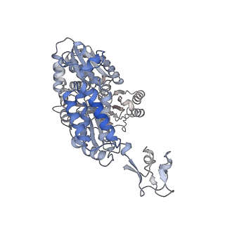 16879_8oh9_E_v1-1
Cryo-EM structure of the electron bifurcating transhydrogenase StnABC complex from Sporomusa Ovata (state 1)