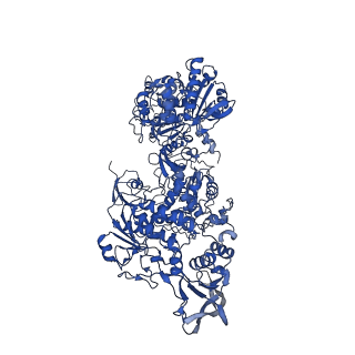 16879_8oh9_F_v1-1
Cryo-EM structure of the electron bifurcating transhydrogenase StnABC complex from Sporomusa Ovata (state 1)