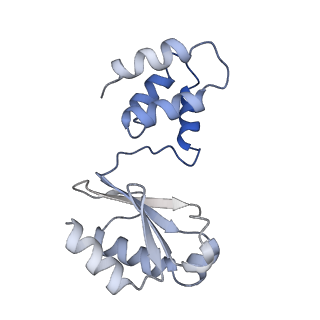 16879_8oh9_G_v1-1
Cryo-EM structure of the electron bifurcating transhydrogenase StnABC complex from Sporomusa Ovata (state 1)
