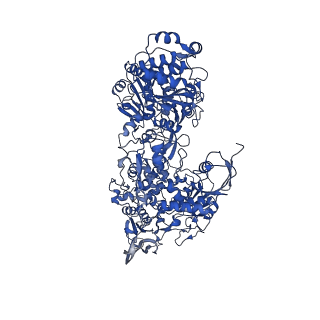 16879_8oh9_I_v1-1
Cryo-EM structure of the electron bifurcating transhydrogenase StnABC complex from Sporomusa Ovata (state 1)