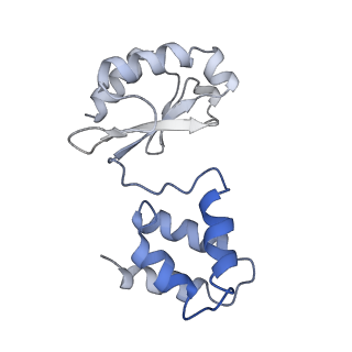16879_8oh9_J_v1-1
Cryo-EM structure of the electron bifurcating transhydrogenase StnABC complex from Sporomusa Ovata (state 1)