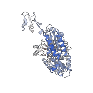 16879_8oh9_K_v1-1
Cryo-EM structure of the electron bifurcating transhydrogenase StnABC complex from Sporomusa Ovata (state 1)