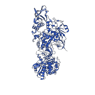 16879_8oh9_L_v1-1
Cryo-EM structure of the electron bifurcating transhydrogenase StnABC complex from Sporomusa Ovata (state 1)