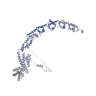 16880_8ohd_A_v1-2
60S ribosomal subunit bound to the E3-UFM1 complex - state 3 (native)