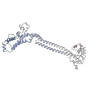 16880_8ohd_B_v1-2
60S ribosomal subunit bound to the E3-UFM1 complex - state 3 (native)