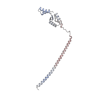 16880_8ohd_C_v1-2
60S ribosomal subunit bound to the E3-UFM1 complex - state 3 (native)