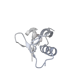 16880_8ohd_D_v1-2
60S ribosomal subunit bound to the E3-UFM1 complex - state 3 (native)