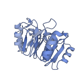 16880_8ohd_K_v1-2
60S ribosomal subunit bound to the E3-UFM1 complex - state 3 (native)
