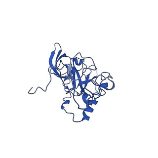 16880_8ohd_LA_v1-2
60S ribosomal subunit bound to the E3-UFM1 complex - state 3 (native)
