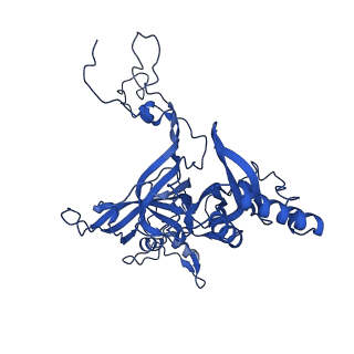 16880_8ohd_LB_v1-2
60S ribosomal subunit bound to the E3-UFM1 complex - state 3 (native)